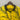 Camisa Borussia Dortmund 23/24 Puma - Amarelo