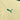 Kit Infantil Palmeiras 24/25 Third - Dourado